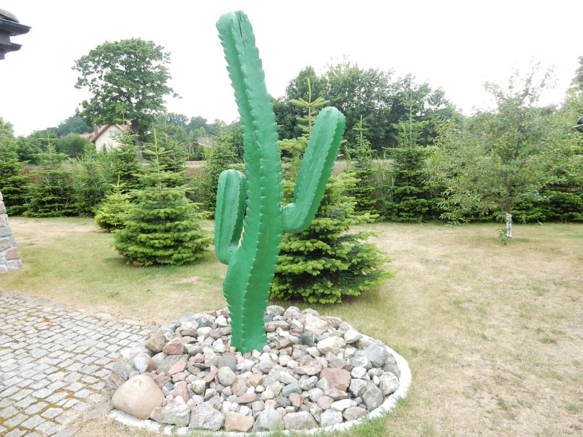 Domki Kaktus Osieki  Esterno foto